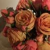 cathleenm717
