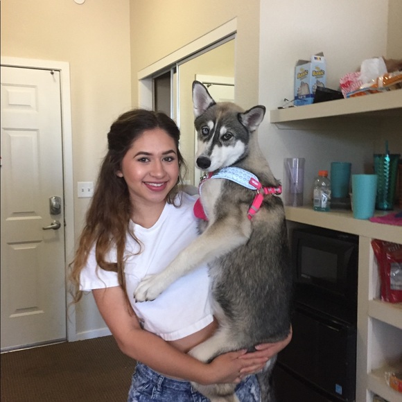 ashleyyelhsa33
