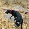 keithandamy03