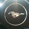 mustanglady78