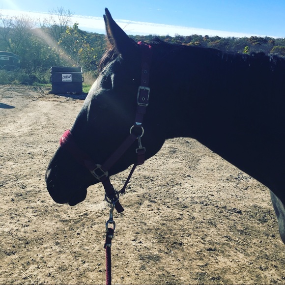 aqhahunter