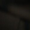 robertog444