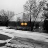 halle_haydel10