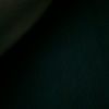 david_12345678