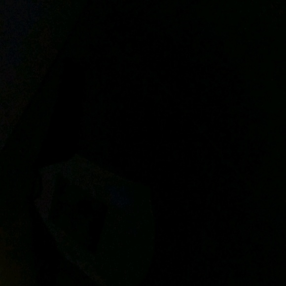 rikishs
