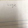 largielarge