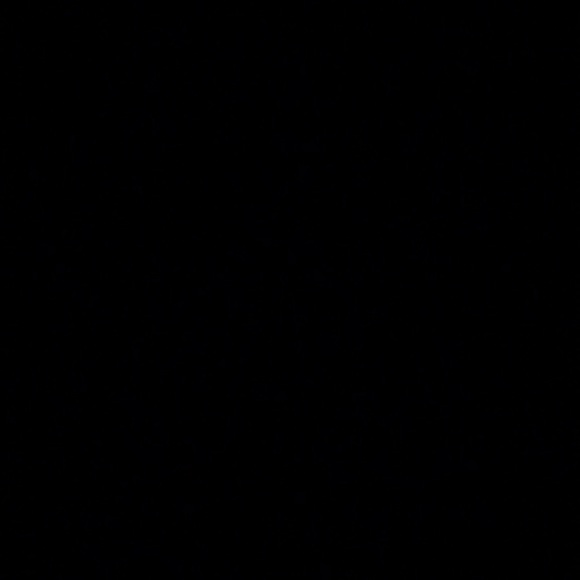 jamalali4650