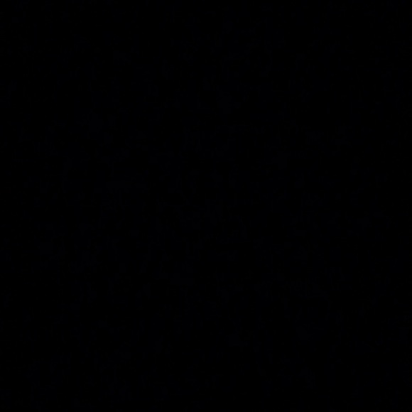 aiidj
