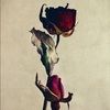 tony_collins